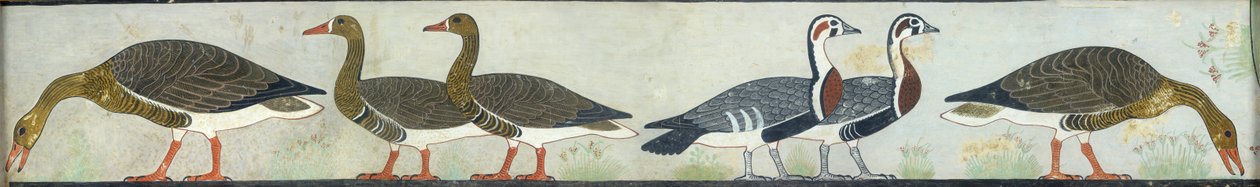Kopie nástěnné malby z Mastaba of Itet, Medum IV, 93-94 husy, 20. století od Anna