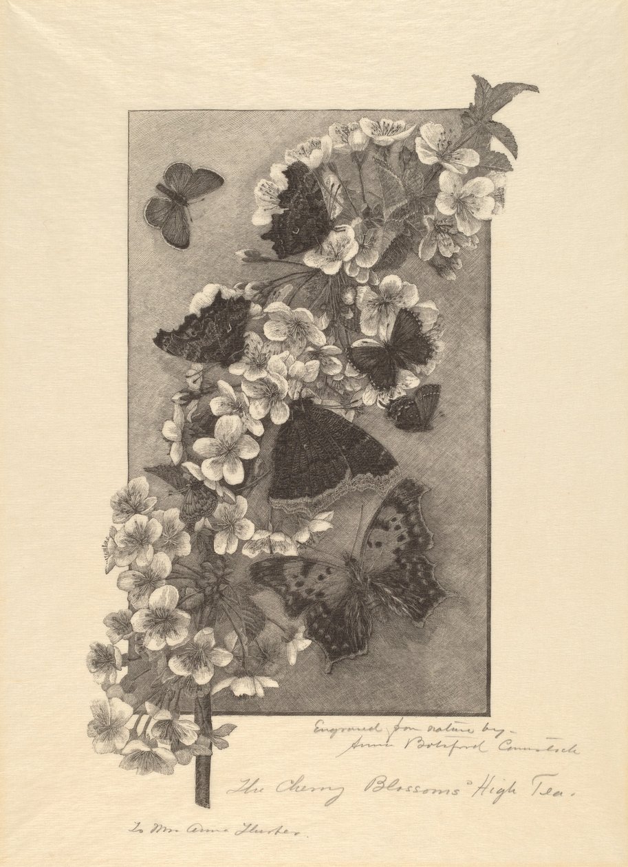 The Cherry Blossoms - High Tea od Anna Botsford Comstock