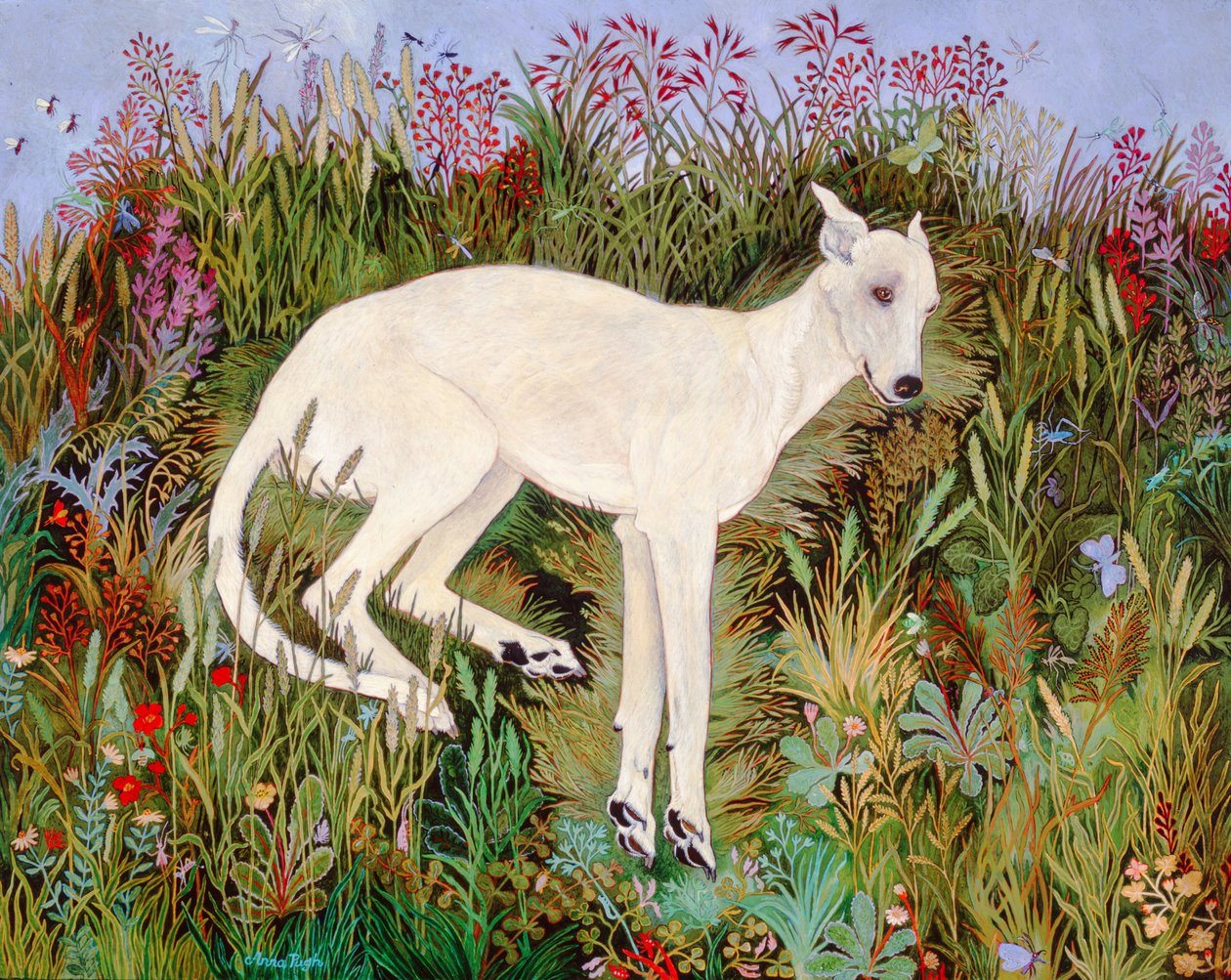 Bliss off Grass, 2009 (akryl) od Anna Pugh