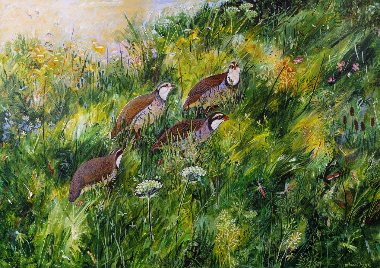 Dlouhá tráva, 2022 (akryl na desce) od Anna Pugh