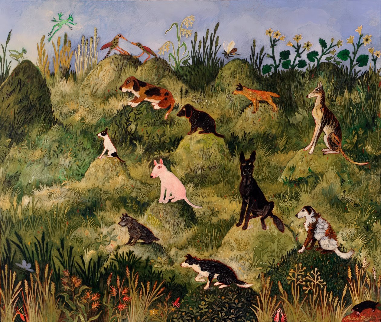  od Anna Pugh