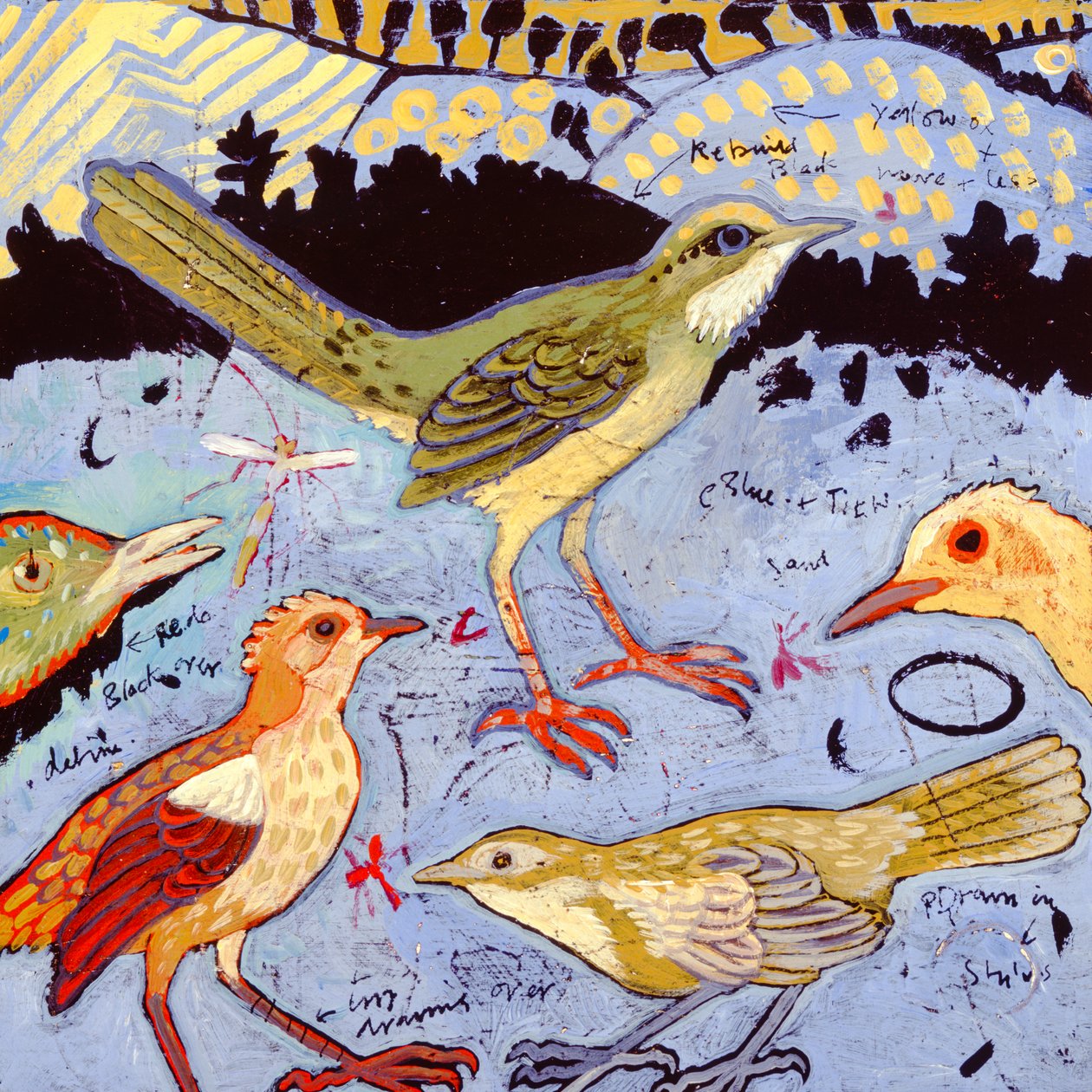 Malí ptáci, 2006 (akryl) od Anna Pugh