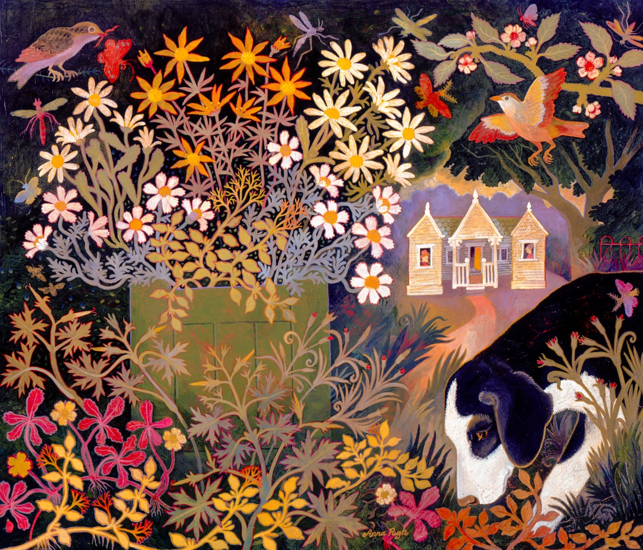 Letní dům od Anna Pugh
