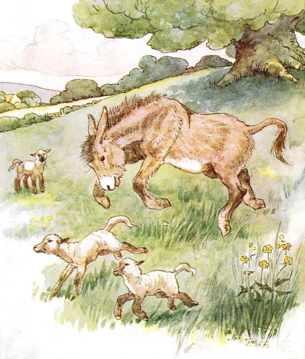 „Celý den jsem řádil na slunné louce s hloupými jehňátky“, ilustrace z „The Naughty Neddy Book“, vydané nakladatelstvím Thomas Nelson und Sons, 20. léta od Anne Anderson