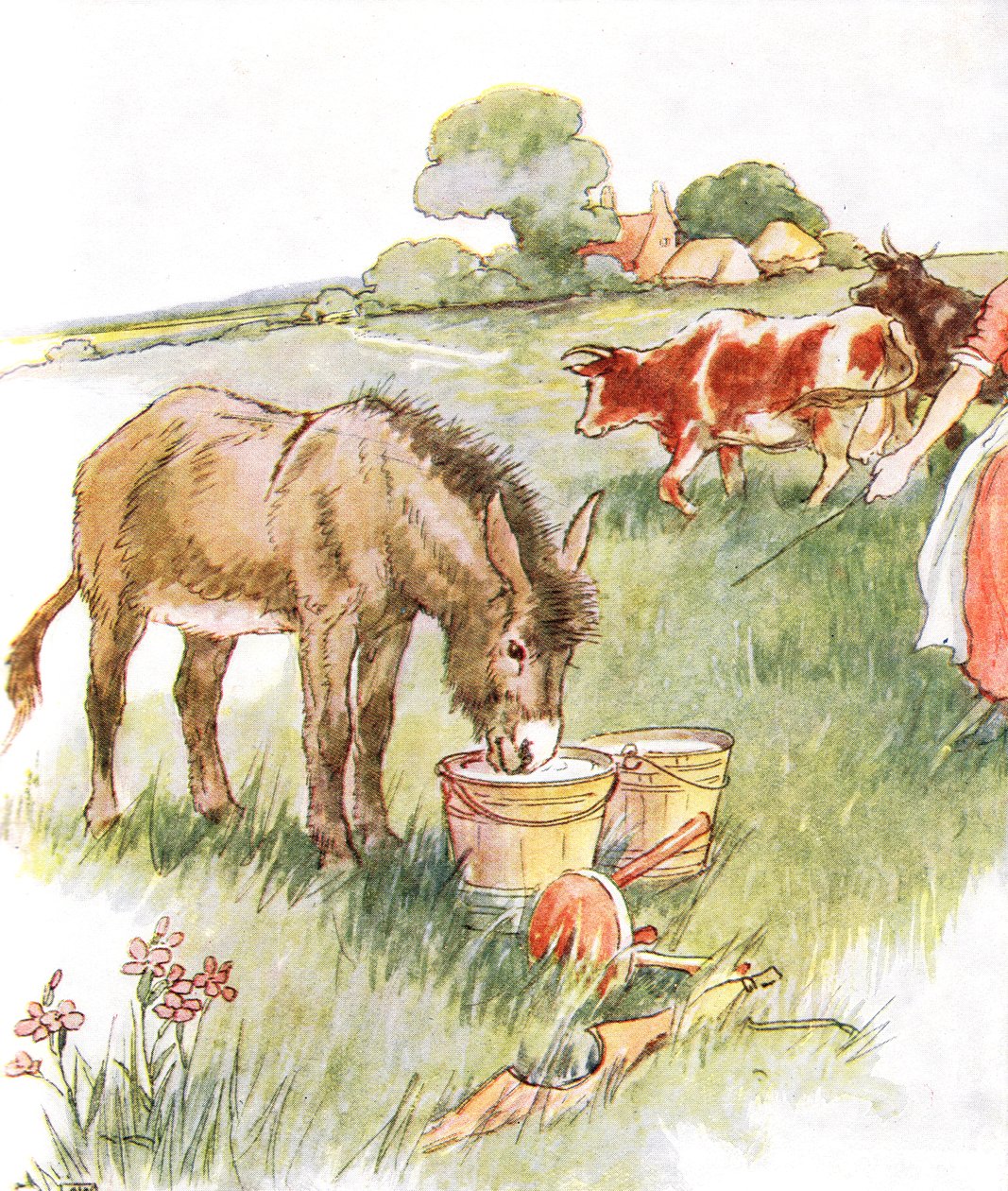 „Viděl jsem dvě kbelíky plné mléka a měl jsem dlouhé krásné pití“, ilustrace z „The Naughty Neddy Book“, vydané nakladatelstvím Thomas Nelson und Sons, 20. léta od Anne Anderson