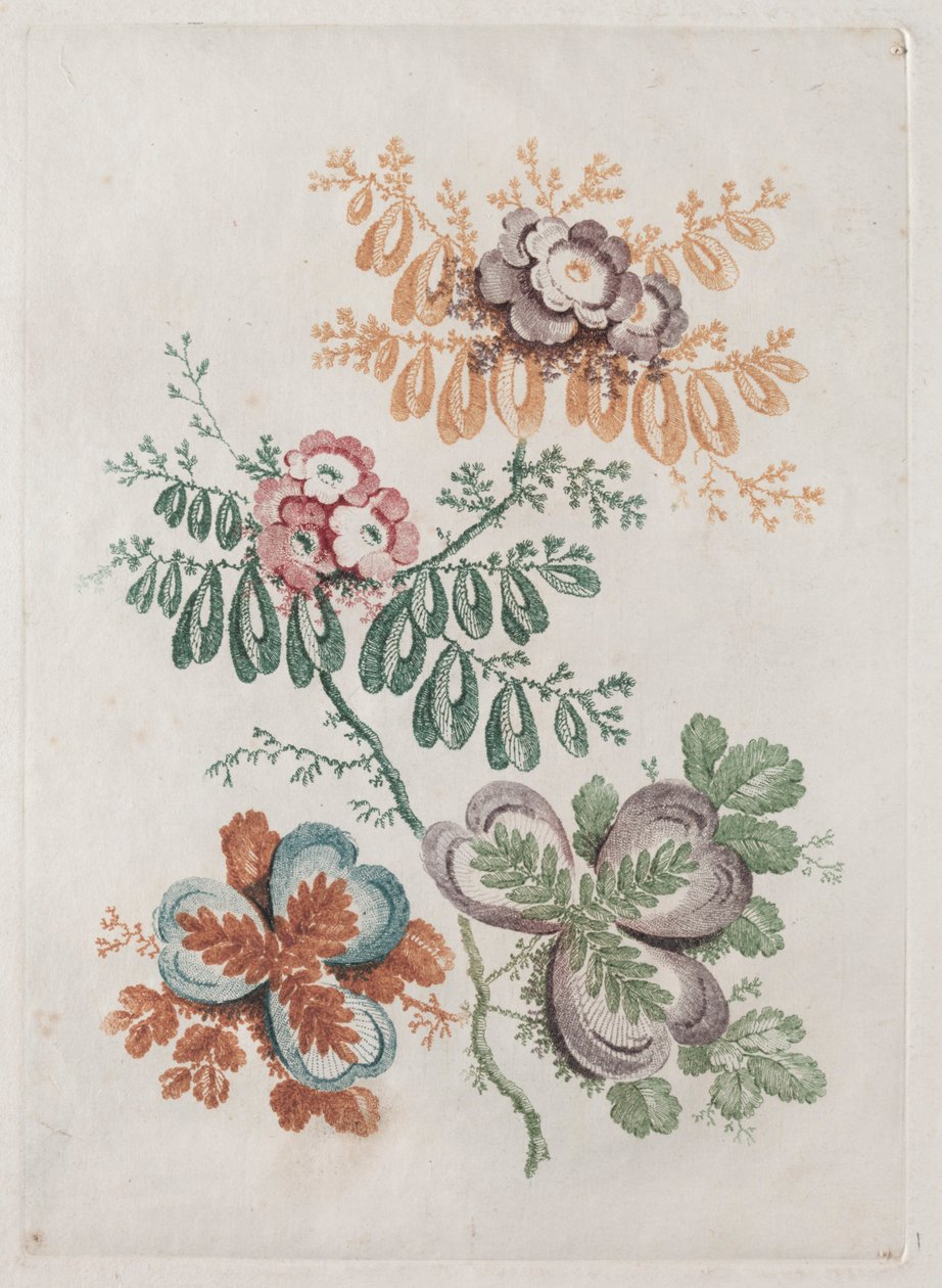 Nová sada portfolií květin ideální pro navrhování a malování: květinové fantazie, c. 179 od Anne Allen