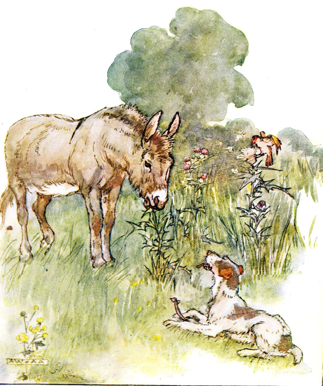 ‚Mluvil s Pontem, který přišel na mé pole s kostí‘, ilustrace z ‚The Naughty Neddy Book‘, vydané nakladatelstvím Thomas Nelson und Sons, 20. léta od Anne Anderson