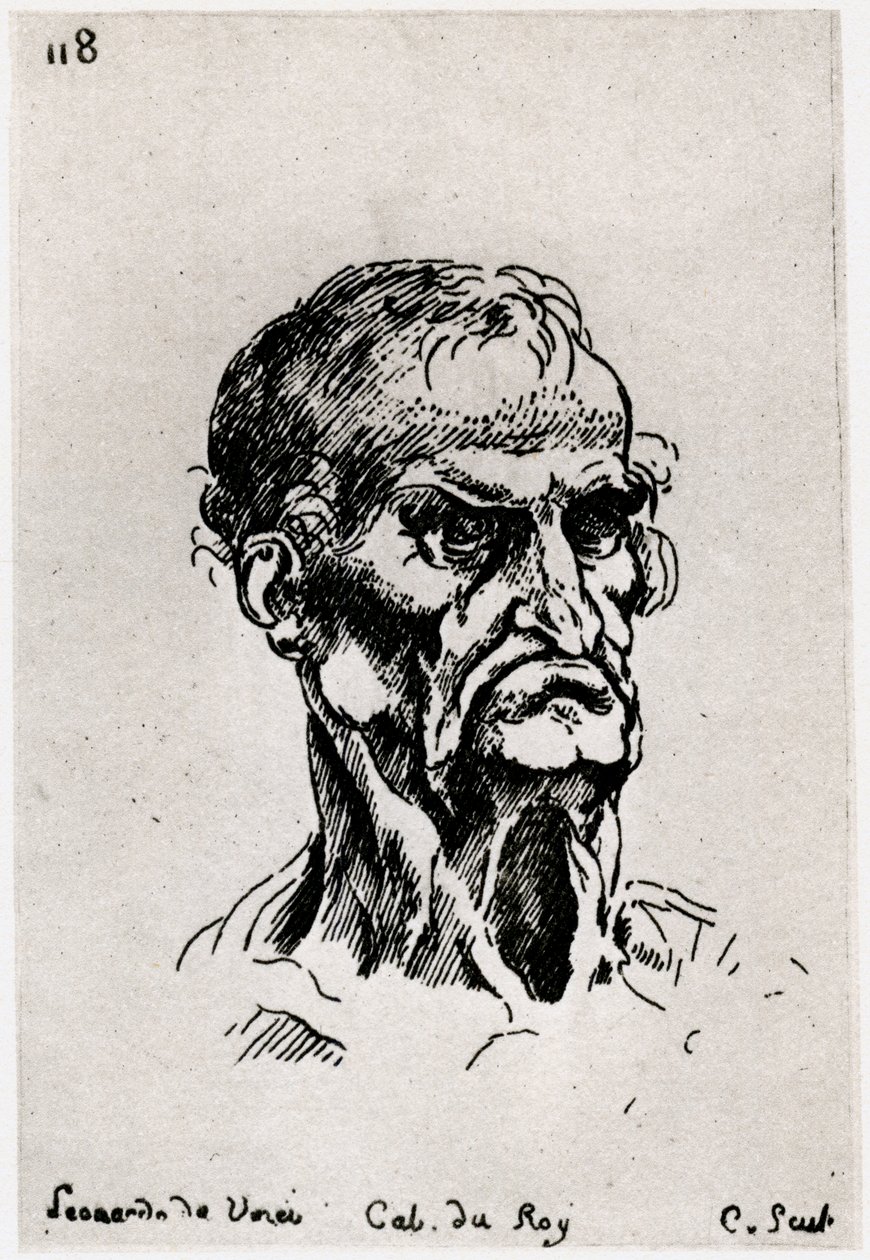 Kresba podle Leonarda de Vinci, c1710-1765 1924 od Anne Claude Philippe de Caylus