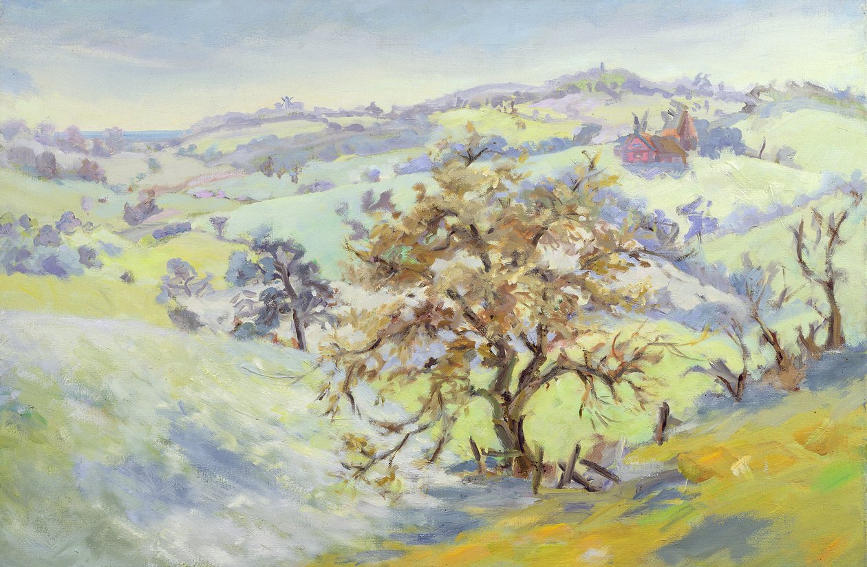Z Udimore směrem k Peasmarch, Sussex, v zimě od Anne Durham