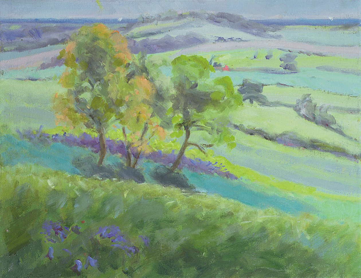 Směrem k Winchelsea, Sussex, se zvonky na jaře od Anne Durham