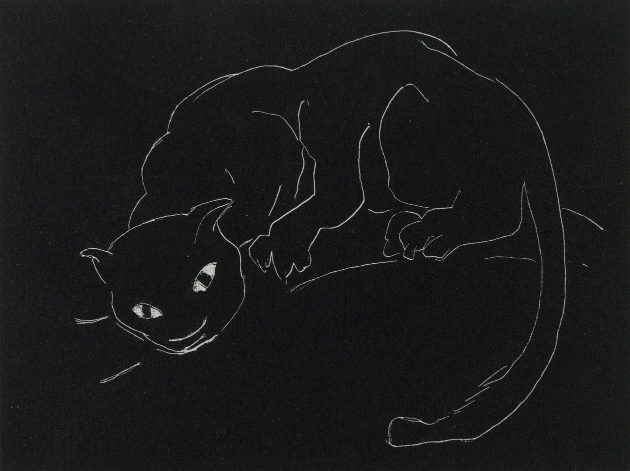 Noční série: Kočka (litho, bílá čára na tkaném papíře) od Anne Goldthwaite