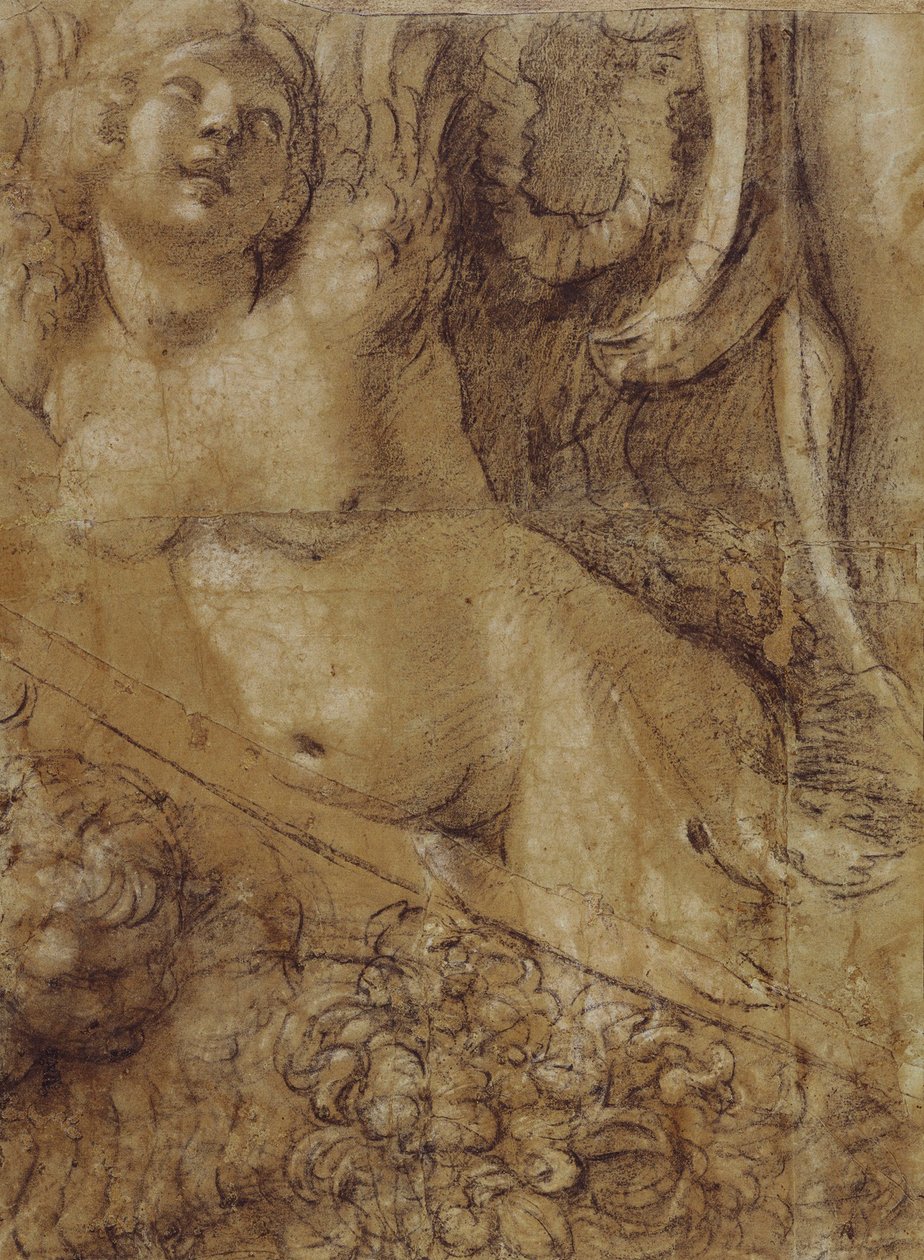 Kreslená mořská panna od Annibale Carracci