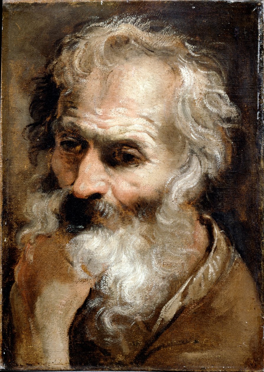 Hlava starého muže od Annibale Carracci