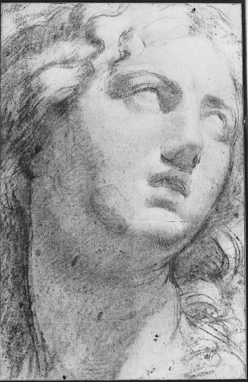 Niobe od Annibale Carracci