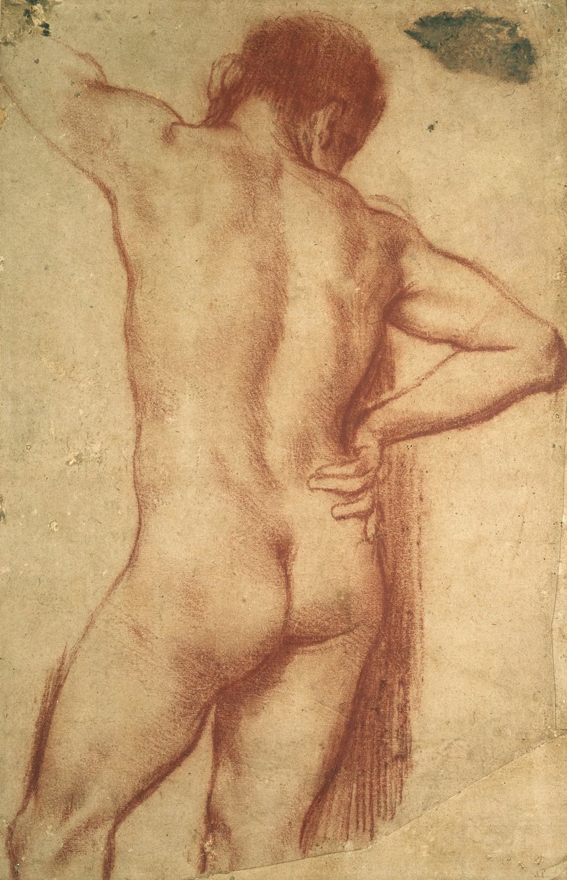 Studie nahého muže od Annibale Carracci