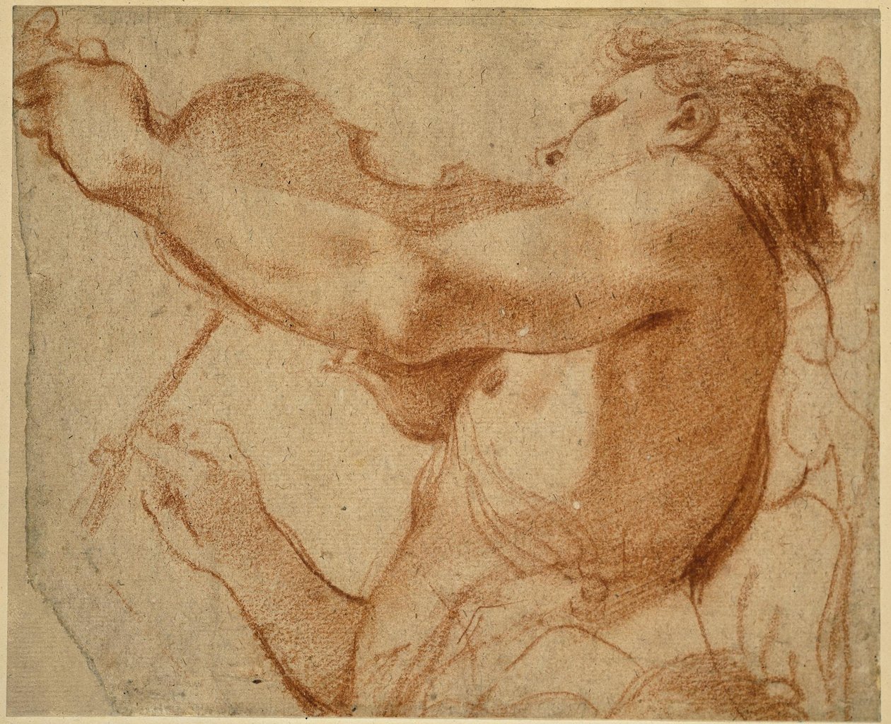Anděl hrající na housle od Annibale Carracci
