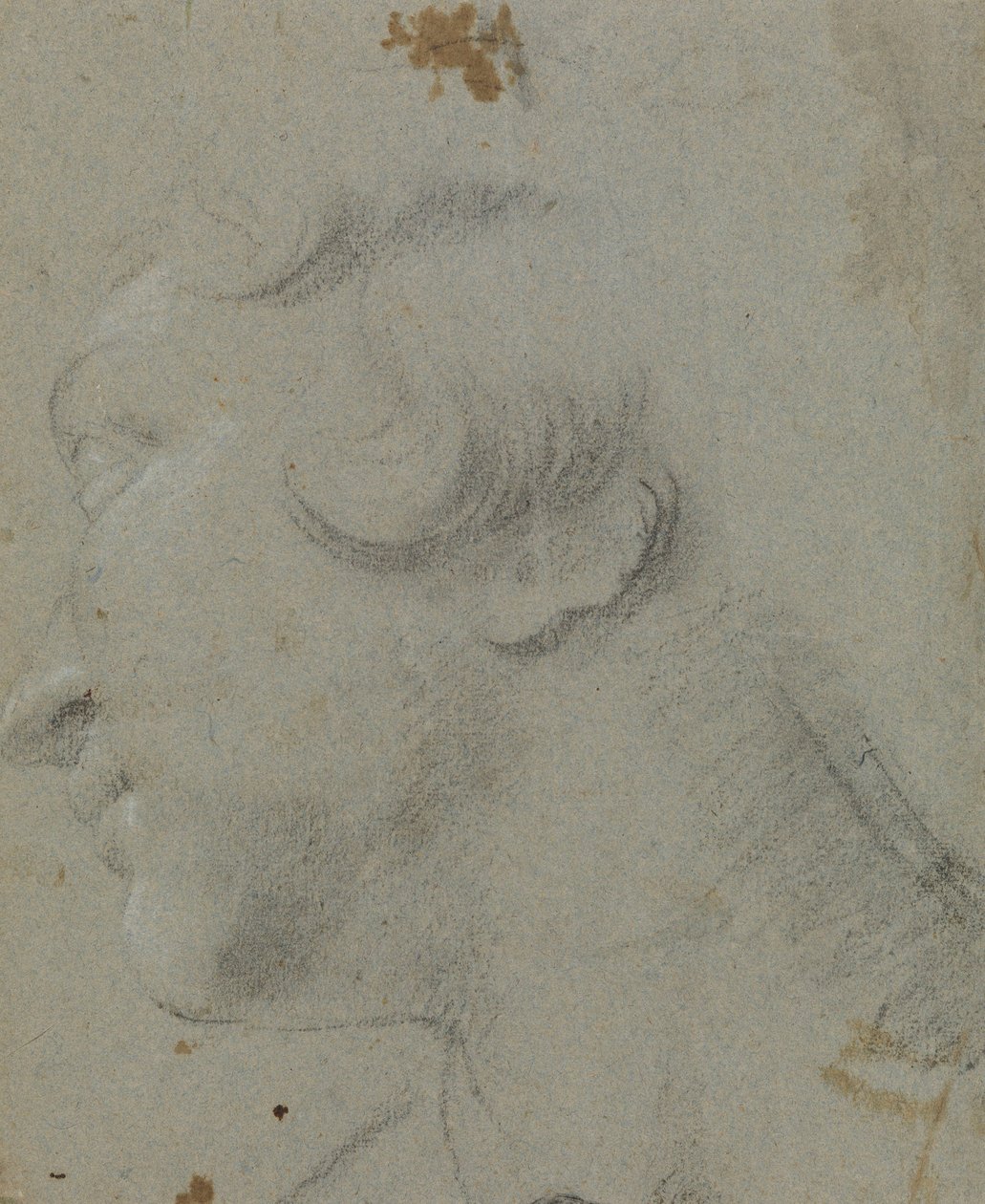 Carracci - r Hlava svaté Kateřiny, RCIN 902115 od Annibale Carracci