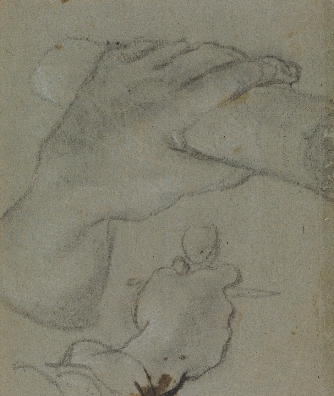 Carracci - v studie pro ruce svatého Jana E, RCIN 902115 od Annibale Carracci