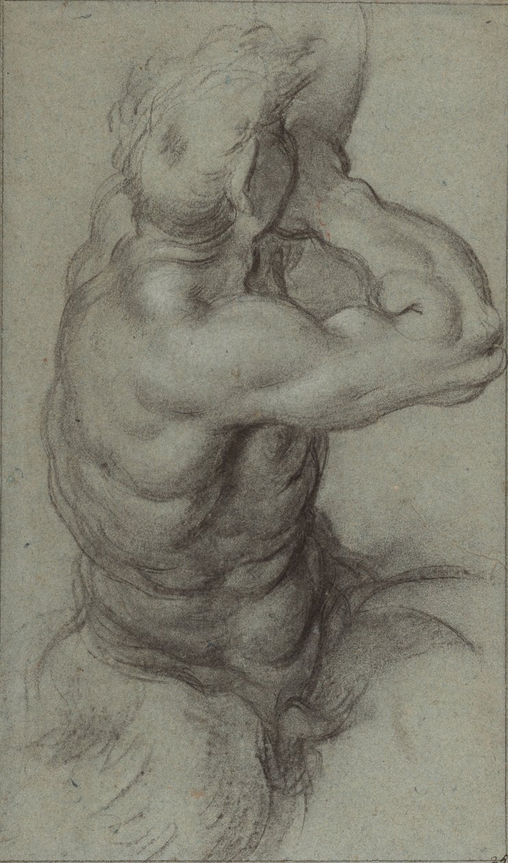 Studie Tritóna troubícího na lasturu (recto); Částečná studie paže (verso) od Annibale Carracci