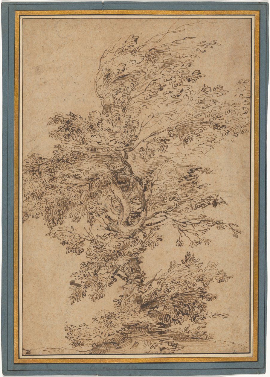 Studie eines Baumes od Annibale Carracci