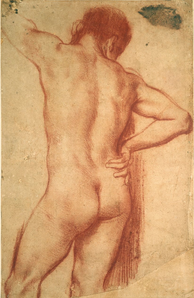 Studie nahého muže, 17. století od Annibale Carracci