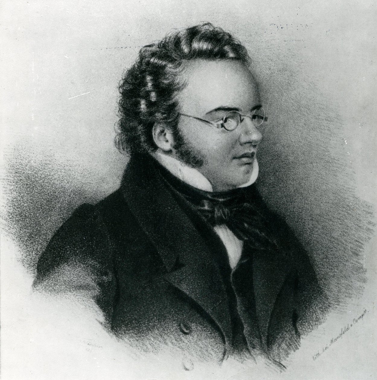Portrét Franze Schuberta (1797-1828) od Unbekannt Unbekannt