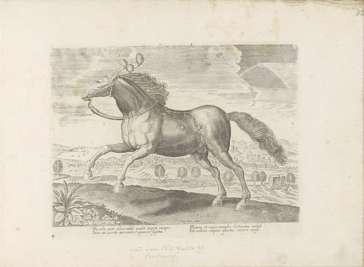 Arabisch pár Přinést (název na objektu) Paardenrassen uit de Koninklijke stallen van Don Juan van Oostenrijk (název série) Kůň, ve kterém se vybírají všechny druhy šlechticů: chování koní rozlišených z různých částí světa (...) (název série na předmětu) od Anonymous