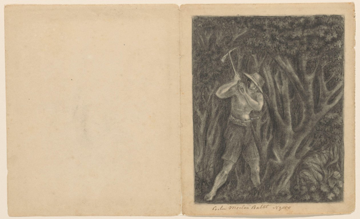 Coolen začíná kácet les v Ngoro, asi 1820-1850 od Anonymous