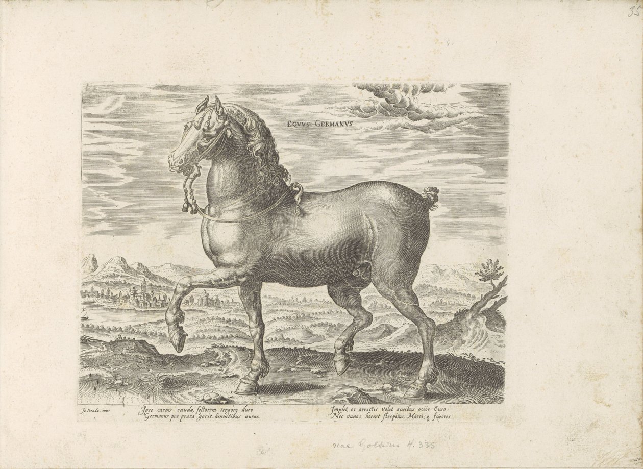 Duits pár Německý kůň (titul na předmětu) Paardenrassen uit de Koninklijke stallen van Don Juan van Oostenrijk (název série) Kůň, ve kterém se vybírají všechny druhy šlechticů: chování koní rozlišených z různých částí světa (...) (název série na ob od Anonymous