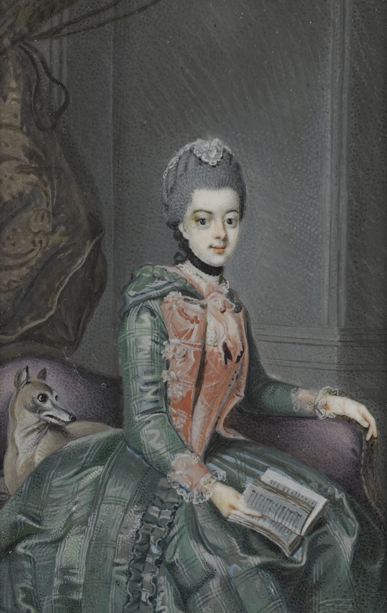Frederika Sophia Wilhelmina (1751-1820), princezna z Pruska. Manželka prince Willema V od Anonymous