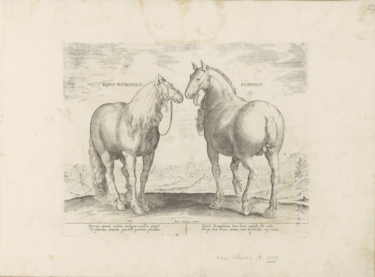 Hengst en merrie uit Rome Roman Matronal Horse (název na objektu) Paardenrassen uit de Koninklijke stallen van Don Juan van Oostenrijk (název série) Kůň, ve kterém se rozlišují všechny druhy šlechticů: chování koní vybraných z různých částí světa ( od Anonymous
