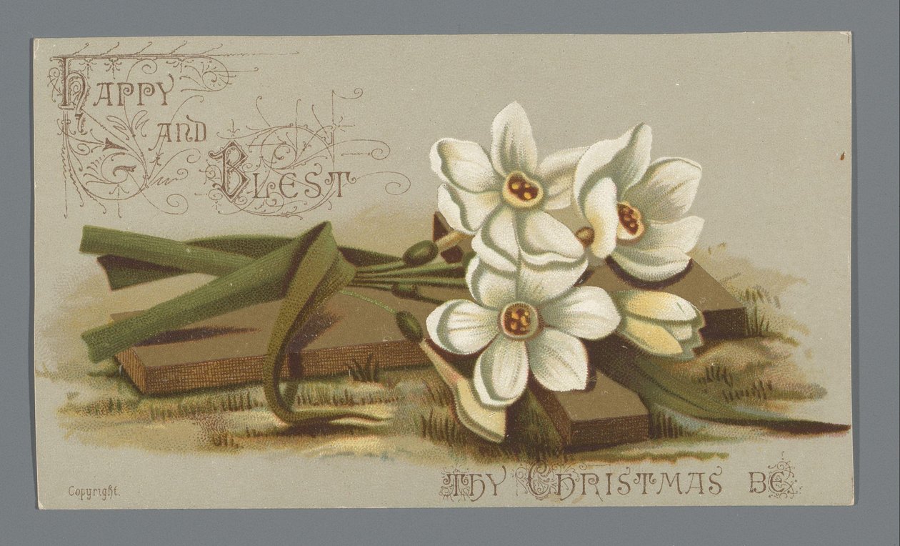 Vánoční přání na rok 1882 od Louise E. Jaceardové paní Šesté od Anonymous