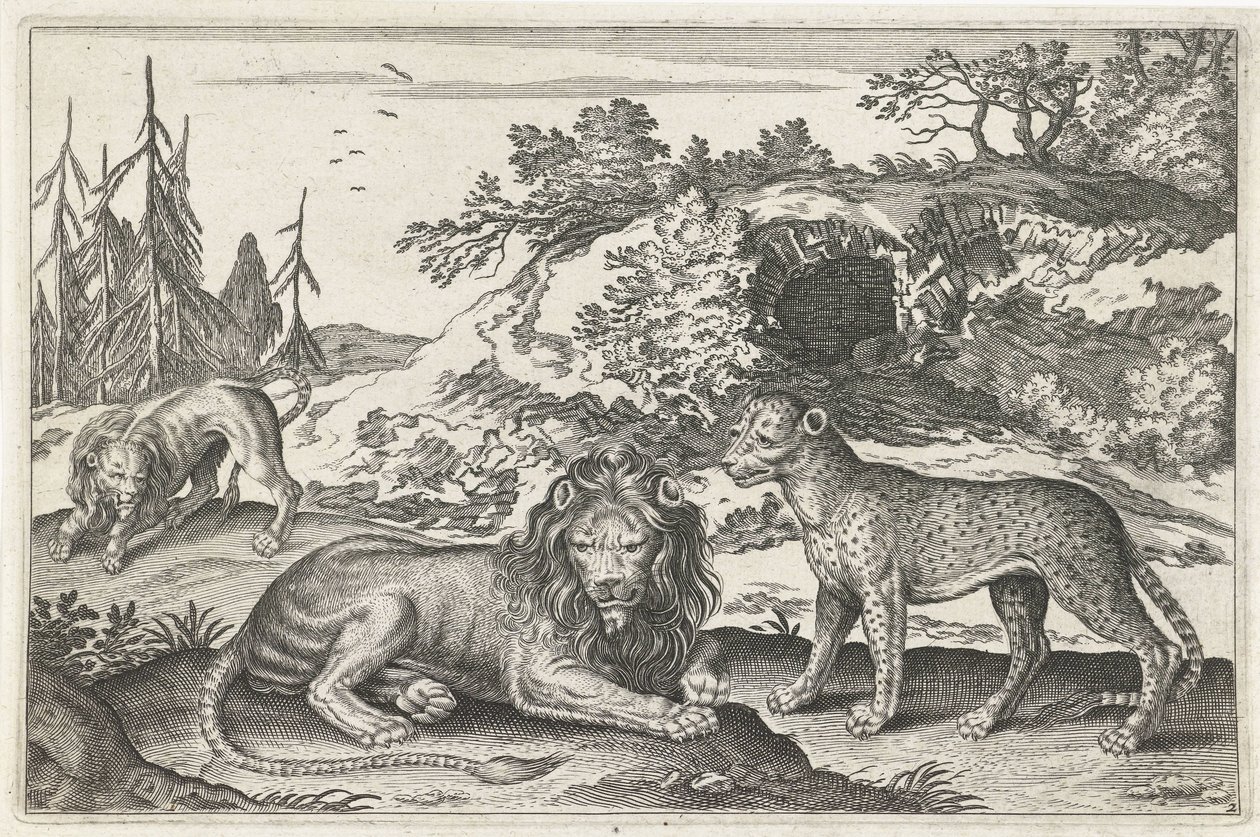 Lvi a Leopard Čtyřnohá zvířata (název série) Animalivm Qvaddrvpedvm (název série) od Anonymous