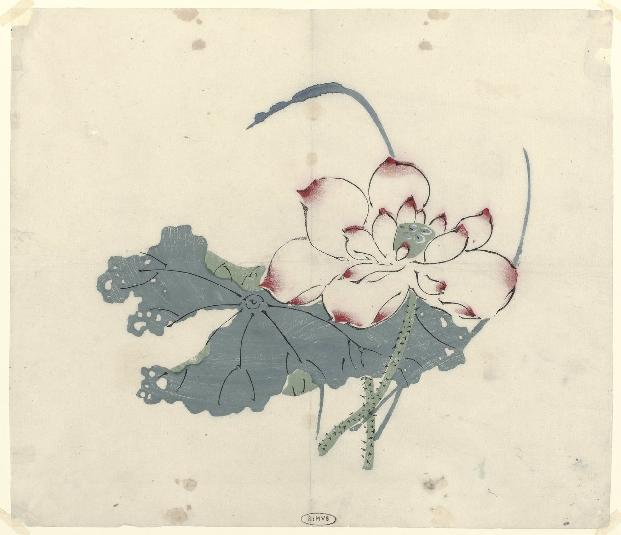 Lotus od Anonymous