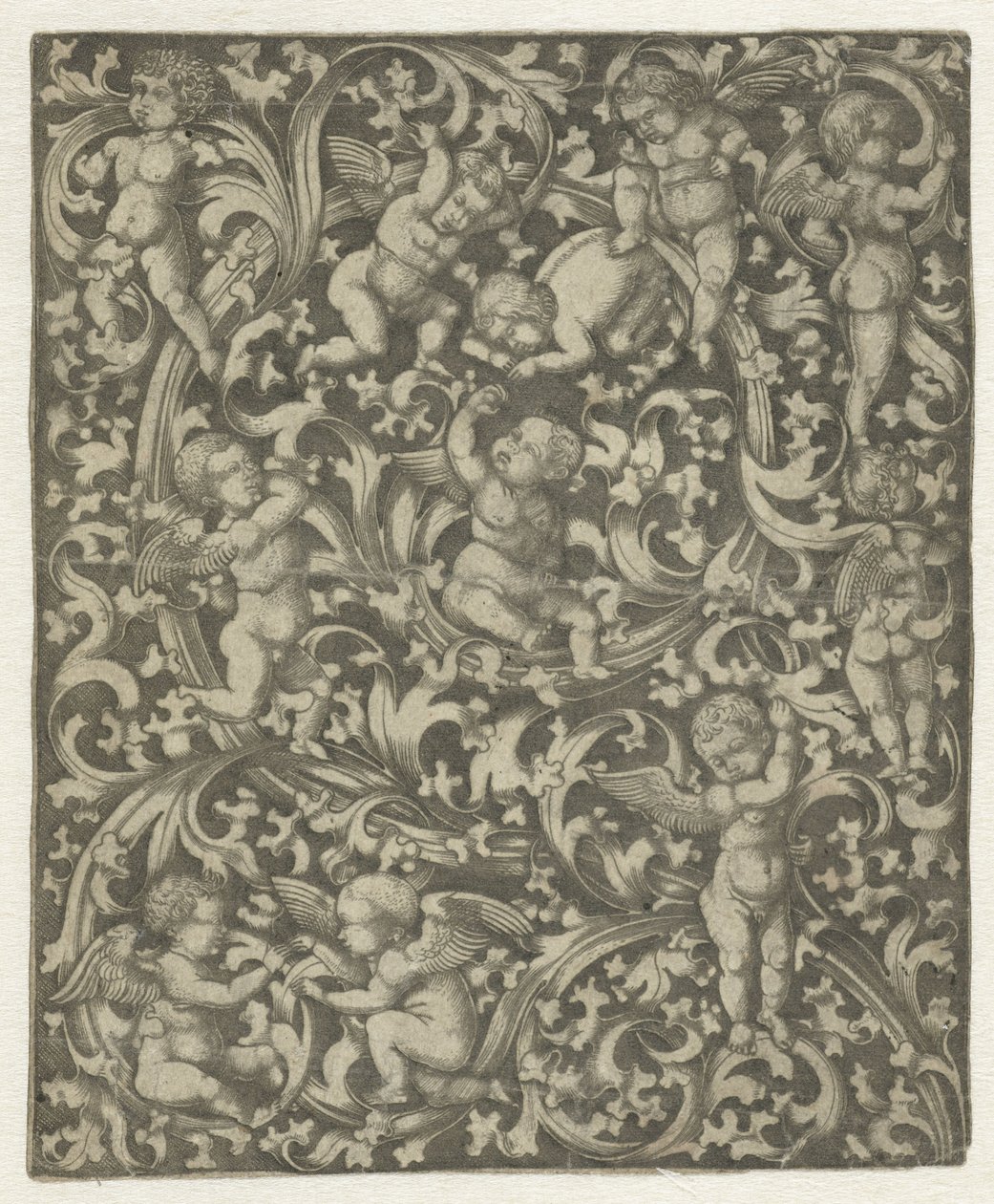 Ornament s putti od Anonymous