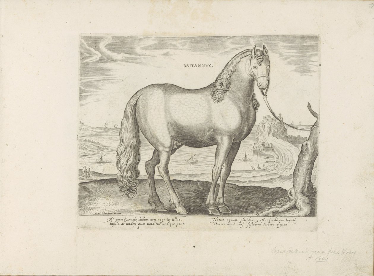 Paard uit Bretagne (Británie) Britové (název na objektu) Paardenrassen uit de Koninklijke stallen van Don Juan van Oostenrijk (název série) Kůň, ve kterém jsou všechny druhy šlechticů: vybraní z různých částí světa vyznačující se chováním koní (...) (seri od Anonymous