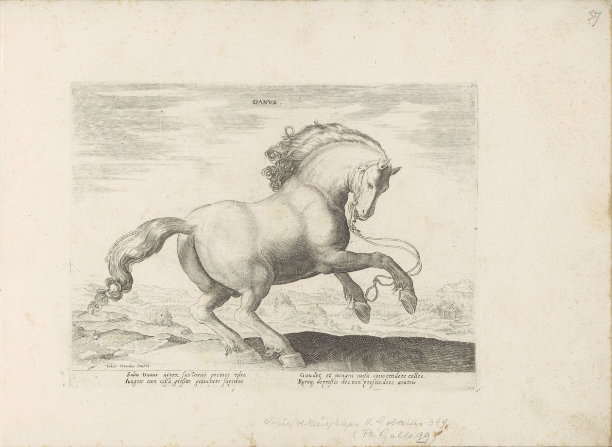 Pár uit Danemarken dánština (název na předmětu) Paardenrassen uit de Koninklijke stallen van Don Juan van Oostenrijk (název série) Kůň, ve kterém se vybírají všechny druhy šlechticů: chování koní rozlišených z různých částí světa (...) (název série na ob od Anonymous
