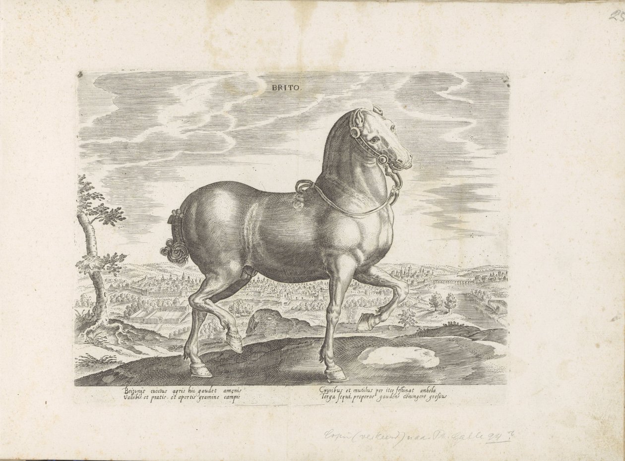 Pár v Anglii Brito (název na objektu) Paardenrassen uit de Koninklijke stallen van Don Juan van Oostenrijk (název série) Kůň, ve kterém se vybírají všechny druhy šlechticů: chování koní rozlišených z různých částí světa (...) (název série na obje od Anonymous