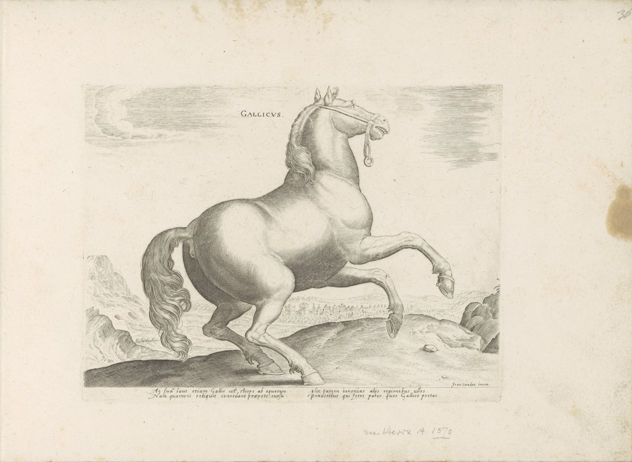 Paard uit Frankrijk francouzština (název na objektu) Paardenrassen uit de Koninklijke stallen van Don Juan van Oostenrijk (název série) Kůň, ve kterém se vybírají všechny druhy šlechticů: chování koní rozlišených z různých částí světa (...) (název série na od Anonymous
