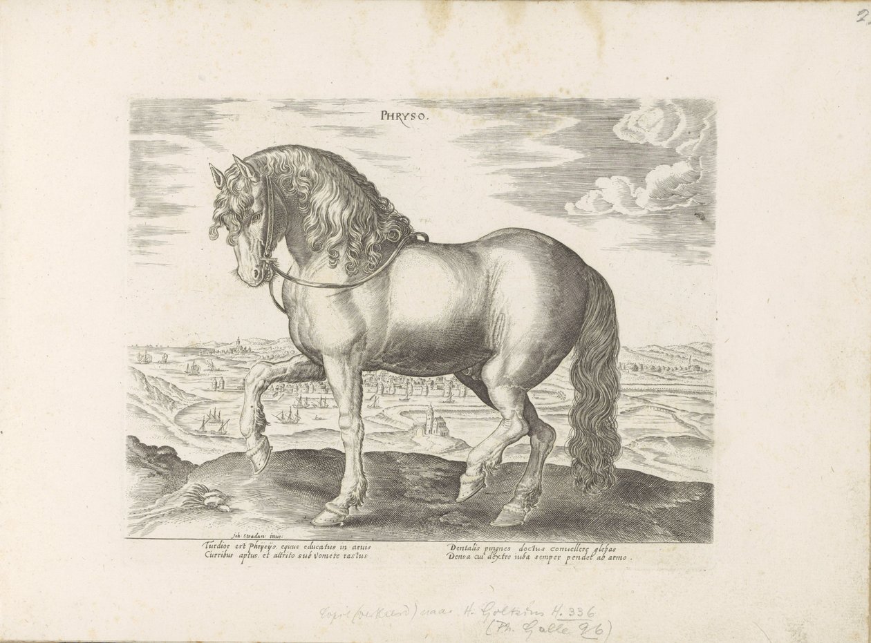 Pár ve Frísku Phryso (název na objektu) Paardenrassen uit de Koninklijke stallen van Don Juan van Oostenrijk (název série) Kůň, ve kterém se vybírají všechny druhy šlechticů: chování koní rozlišených z různých částí světa (...) (název série na ob od Anonymous