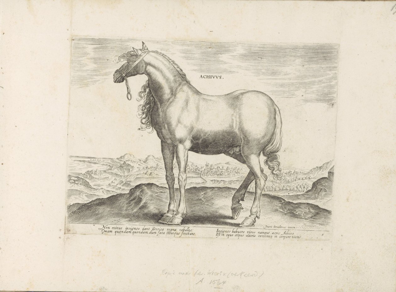 Paard z Řecka Achivus (název na objektu) Paardenrassen uit de Koninklijke stallen van Don Juan van Oostenrijk (název série) Kůň, ve kterém se vybírají všechny druhy šlechticů: chování koní rozlišených z různých částí světa (...) (název série na od Anonymous