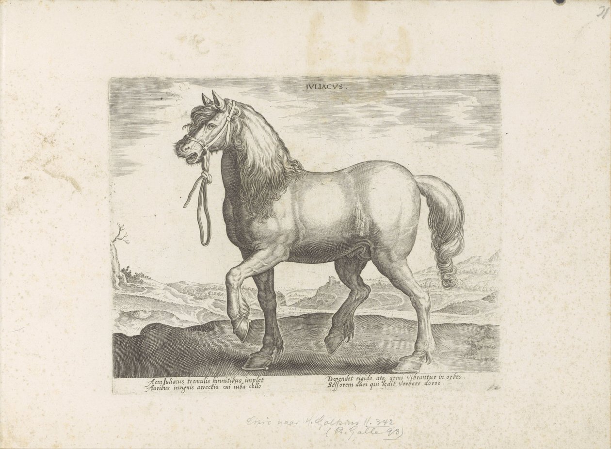 Paard uit Gulik (Juliacus) Julia (název na objektu) Paardenrassen uit de Koninklijke stallen van Don Juan van Oostenrijk (název série) Kůň, ve kterém jsou všechny druhy šlechticů: vybraní z různých částí světa vyznačující se chováním koní (...) (série od Anonymous