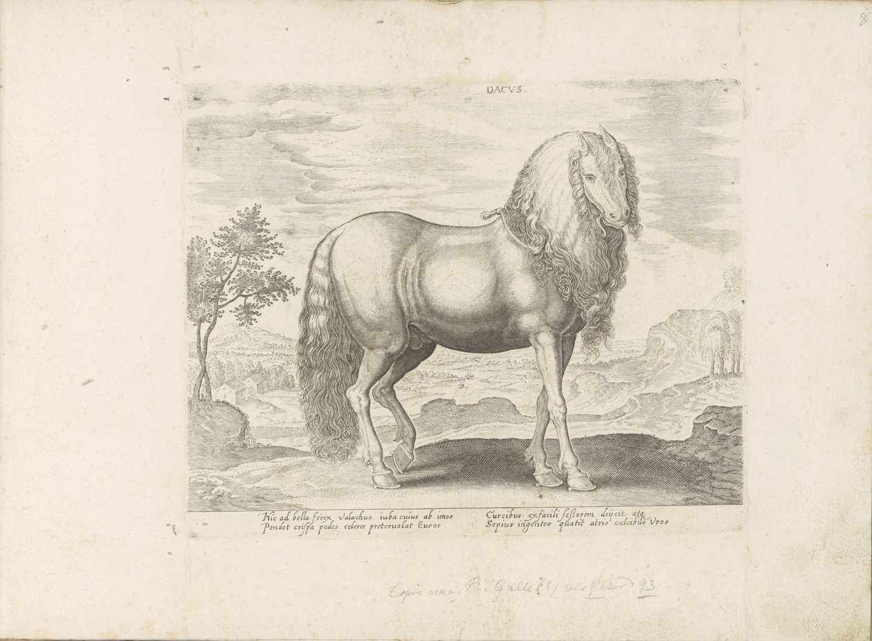 Paard uit Roemenië (holandština) Dacus (titul na objektu) Paardenrassen uit de Koninklijke stallen van Don Juan van Oostenrijk (název série) Kůň, ve kterém se vybírají všechny druhy šlechticů: chování koní rozlišených z různých částí světa (...) (název sér od Anonymous