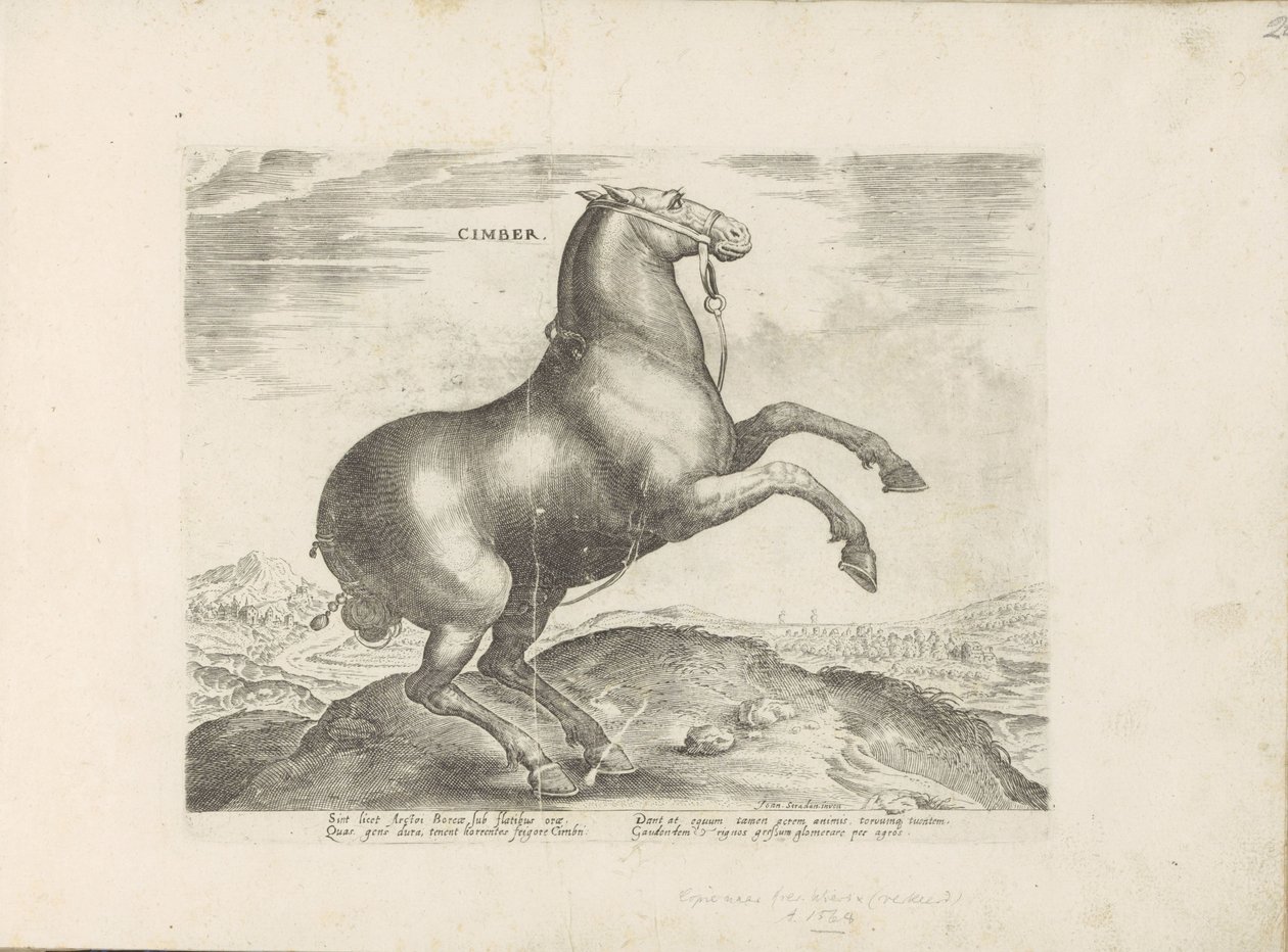 Pár uit Skythia Cimber (název na objektu) Paardenrassen uit de Koninklijke stallen van Don Juan van Oostenrijk (název série) Kůň, ve kterém se vybírají všechny druhy šlechticů: chování koní rozlišených z různých částí světa (...) (název série na obje od Anonymous