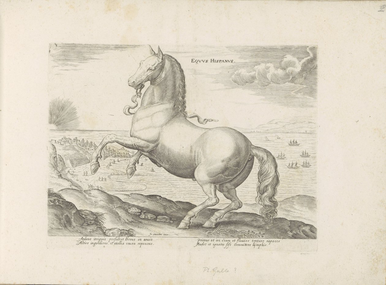 Pár uit Spanje Španělský kůň (titul na předmětu) Paardenrassen uit de Koninklijke stallen van Don Juan van Oostenrijk (název série) Kůň, ve kterém se vybírají všechny druhy šlechticů: chování koní rozlišených z různých částí světa (...) (název série od Anonymous