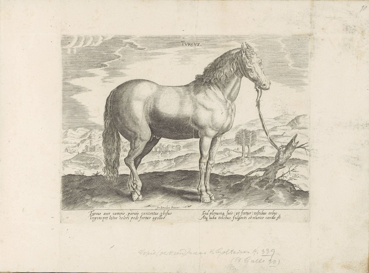 Pár uit Turkije turečtina (název na objektu) Paardenrassen uit de Koninklijke stallen van Don Juan van Oostenrijk (název série) Kůň, ve kterém se vybírají všechny druhy šlechticů: chování koní rozlišených z různých částí světa (...) (název série na obje od Anonymous
