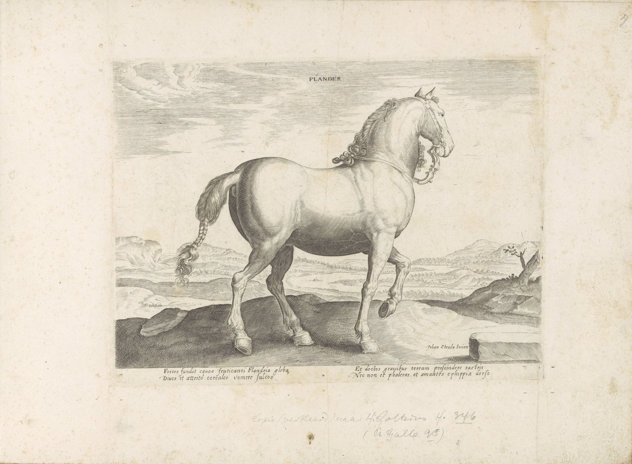 Paard uit Vlaanderen Flandry (název na objektu) Paardenrassen uit de Koninklijke stallen van Don Juan van Oostenrijk (název série) Kůň, ve kterém se vybírají všechny druhy šlechticů: chování koní rozlišených z různých částí světa (...) (název série na od Anonymous