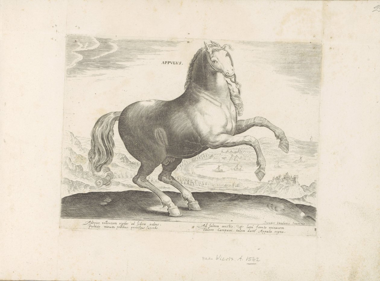 Pár u Zuid-Italië Appulus (název na objektu) Paardenrassen uit de Koninklijke stallen van Don Juan van Oostenrijk (název série) Kůň, ve kterém se vybírají všechny druhy šlechticů: chování koní rozlišených z různých částí světa (...) (název série na od Anonymous