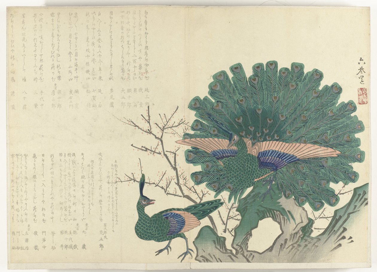 pávi Album Shijo-surimono z období 1840-1900 (název série) od Anonymous