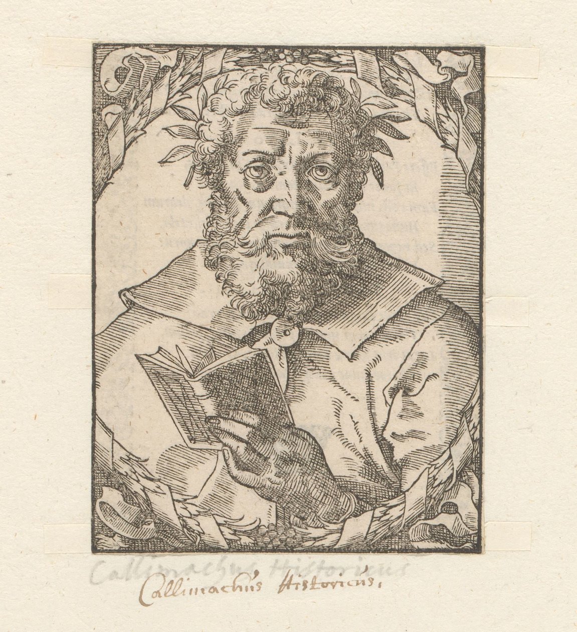 Portrét van Callimachus od Anonymous